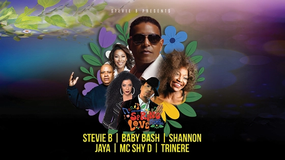 Stevie B Presents: Spring Love Music Festival