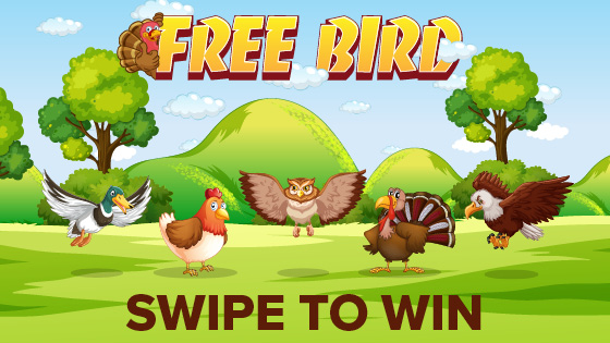 Free Bird Swipe To Win